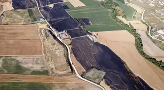 Tekirdağ'da Yangın: 400 Dönüm Buğday Tarlası Zarar Gördü