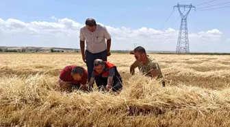 İl Tarım ve Orman Müdürü Serkan Bilir, Biçerdöver Denetimlerini İnceledi