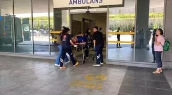 Kandıra'da Trafik Kazası: Yaşlı Kadın Hayatını Kaybetti