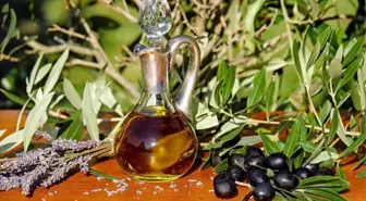 Zeytin yasası ne zaman çıktı, kim çıkardı? SON DAKİKA