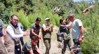 Bilecik'te Kınalı Keklikler Doğayla Buluşturuldu