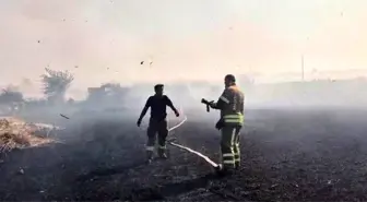 Balıkesir'de Buğday Tarlasındaki Yangına Müdahale Edildi