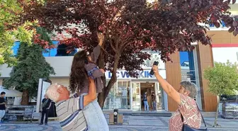 Minik Derin'in Hayvan Sevgisi: Yavru Kediyi Kurtardı