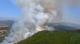 Bursa'da Orman Yangınına Hızlı Müdahale