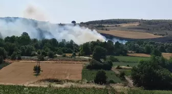 Bursa'nın Yenişehir ilçesinde Anız Yangını