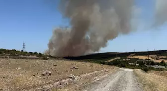 Çanakkale'de Tarım Arazisinde Yangın Ormana Sıçradı
