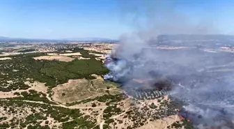 Çanakkale Valiliği, Ezine’deki Orman Yangınına İlişkin Açıklama Yaptı
