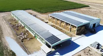 Denizli'de Kırsal Kalkınma Projesine 87.4 Milyon TL Hibe