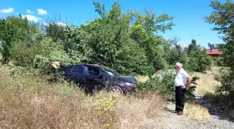 Erzincan-Kemah Karayolu'nda Trafik Kazası: Araç Ağaçlara Çarptı