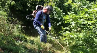 Fındık Hasat Sezonu Öncesi Temizlik Çalışmaları Başladı