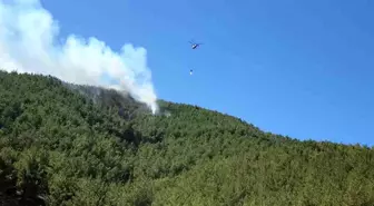 Hatay'da Orman Yangını Kontrol Altına Alındı