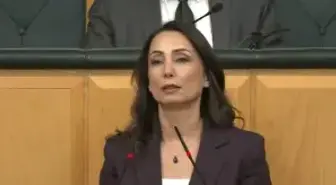 Tülay Hatimoğulları'ndan Barış ve Demokrasi Vurgusu