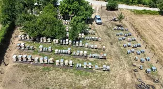 Emekli Ambulans Şoförü Arıcılıkta Başarı Hikayesi Yazıyor
