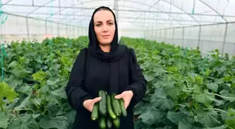Marya Esenkol, Yüksekova'da Seracılıkta Başarı Hikayesi Yazıyor