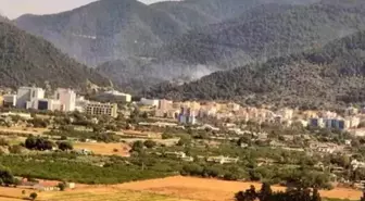 İzmir'in iki ilçesinde orman yangını çıktı