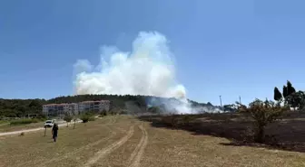 Sakarya'da Ormanlık Alanda Yangın
