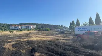 Sakarya'da Orman Yangını Kontrol Altına Alındı