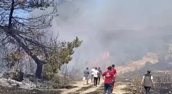 Soma'da Orman Yangınına Sebep Olan Kadına Ev Hapsi Cezası