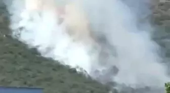 Bursa'da Orman Yangını: Ekipler Karadan ve Havadan Mücadele Ediyor