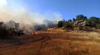 Adıyaman'da Orman Yangını Korkuttu