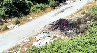 Arnavutköy'de Çöplük Haline Gelen Sokak Yangın Tehlikesi Yarattı