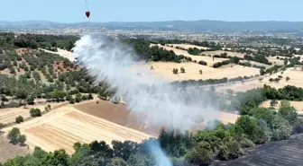 Çanakkale'nin Bayramiç İlçesinde Tarım Arazisinde Yangın