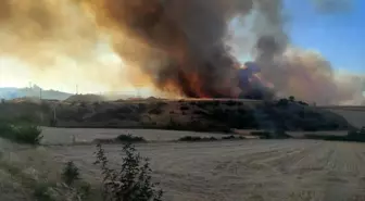 Bilecik'te Orman Yangını NATO Tesislerine Sıçradı