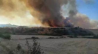 Bilecik'te Yangın: Buğday Tarlası ve Orman Zarar Gördü