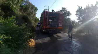 Bursa'da Karganın Elektrik Hatlarına Teması Yangın Çıkardı