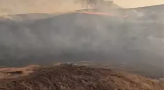 Diyarbakır'ın Silvan ilçesinde Anız Yangını