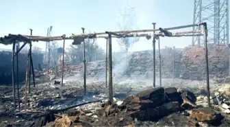 Edirne'de Buğday Tarlasında Çıkan Yangın 3 Evi Küle Döndürdü