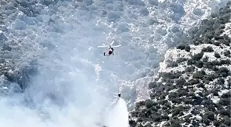Antalya'da Orman Yangını Kontrol Altına Alındı