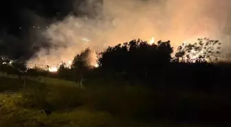 Hatay'da Ağaçlık Alanda Yangın Söndürüldü
