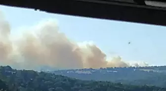 İvrindi'de orman yangını
