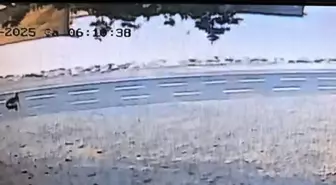 Tekirdağ'da Kuru Yük Gemisi Karaya Oturdu