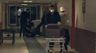Kene kabusu 2 can daha aldı