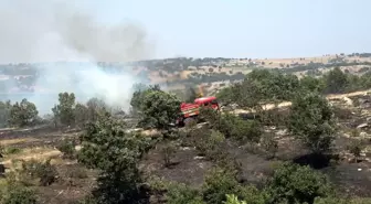 Kırklareli'nde Ceviz Bahçesi ve Ormanda Yangın Kontrol Altına Alındı