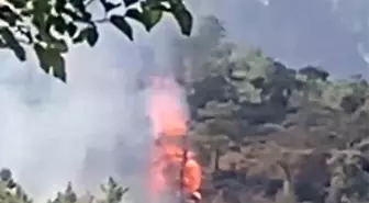 Köyceğiz'de Orman Yangını Başladı