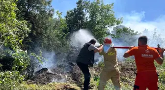 Köyceğiz'de Orman Yangını Kontrol Altına Alındı