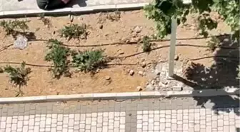 İstanbul'da 2 Çocuğun Sokak Ortasında Darp Edilmesi Kameralara Yansıdı