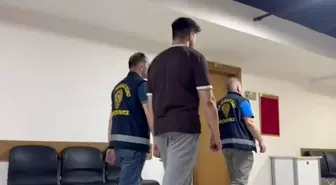 İstanbul'da Otluk Alan Yangını Çıkaran Şahıs Tutuklandı