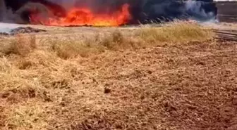 Mardin'de Yangında 25 Ton Saman ve Borular Yandı