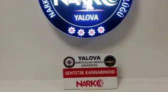 Yalova'da Uyuşturucu Operasyonu: 9 Tutuklama