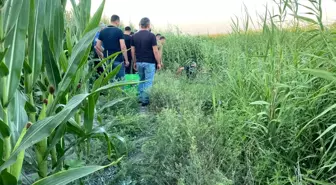 Ceyhan'da Dere Yatağında Bir Kişi Ölü Bulundu