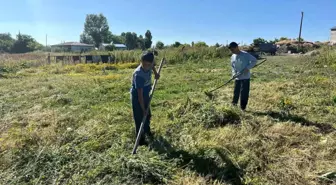 Kars'ta Ot Biçimi Başladı, Çiftçiler Mesaiye Erken Başladı