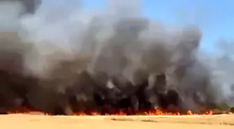 Çanakkale'nin Biga İlçesinde Tarım Arazisinde Yangın