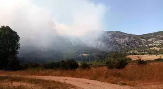 Bilecik'te Orman Yangını: Kümbet Köyü Tehlikede