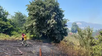Cumalıkızık'taki Orman Yangını Kontrol Altına Alındı