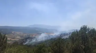 Bursa'da Orman Yangını 6 Saatte Kontrol Altına Alındı