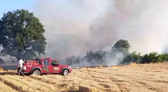 Çanakkale'de Tarım Arazisinde Yangın Kontrol Altına Alındı